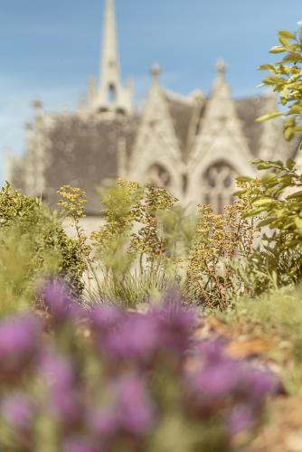 legililens-photographie-baptême-locquémeau-bretagne.jpg