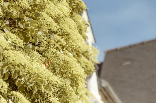 legililens-photographie-baptême-locquémeau-bretagne.jpg