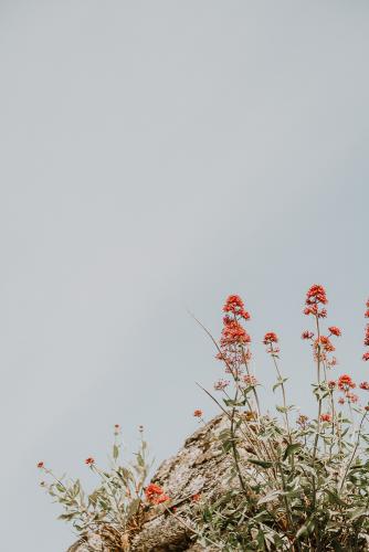 legililens-photographie-mariage-ploulec'h-bretagne1.jpg