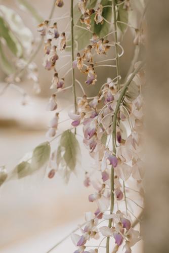 legililens-photographie-mariage-ploulec'h-bretagne1.jpg